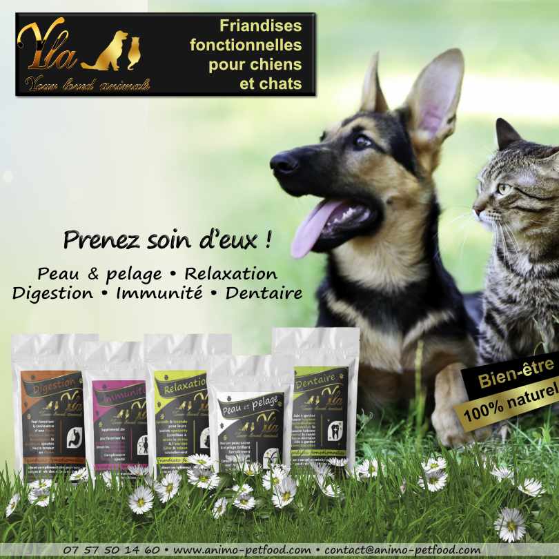 friandises sans céréales pour chien et chat